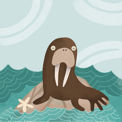 Walrus animals childrens book illustration walrus