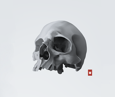 Skull illustration logo shimur skull skull art