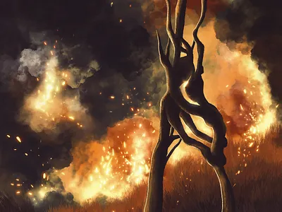 Australian Bushfires | Devastating Wildfires australia bushfire character illustration design digital illustration fire flame forest forest fires graphic design illustration illustration style jungle pray procreate save animals save earth trees weather wildfire