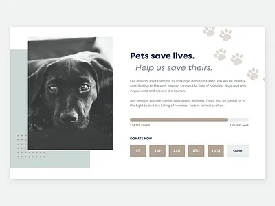 Daily UI 032 - Crowdfunding Campaign crowdfunding crowdfunding campaign daily ui daily ui 032 daily ui challenge donate donation ui design