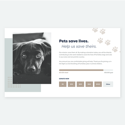 Daily UI 032 - Crowdfunding Campaign crowdfunding crowdfunding campaign daily ui daily ui 032 daily ui challenge donate donation ui design