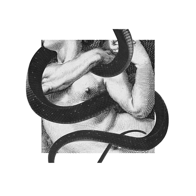 02 anatomy collage digital art snake