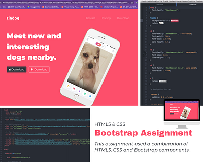 Bootstrap Assignment bootstrap 4 coding css3 fontawesome html5 ui visual design web design webdev webdevelopment