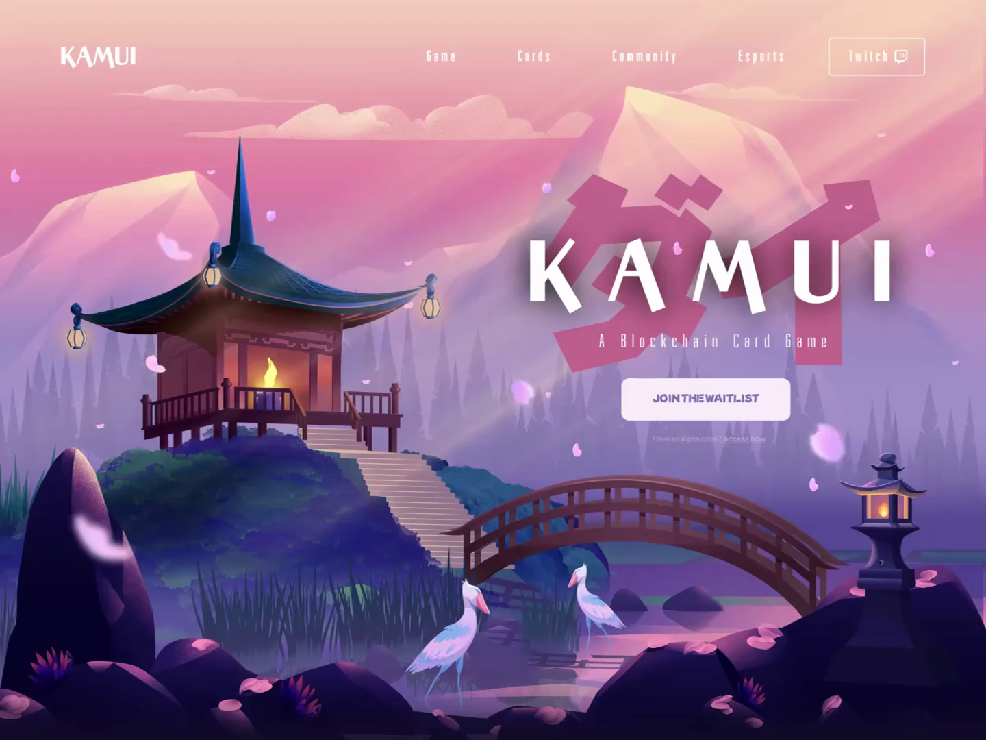 Example of K A M U I