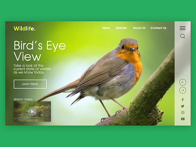 Wildlife Website Landing Page Prototype Design animal animals landing design landing page landing page design landingpage ui ui ux ui design uidesign uiux web web design webdesign website website design wild wild animal wilderness wildlife