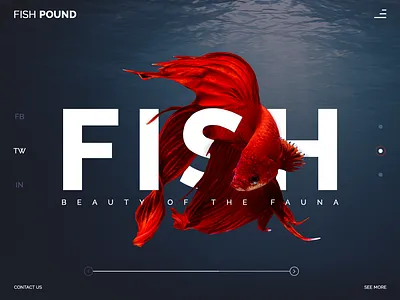 Creative Fish Header design logo ui ux web website