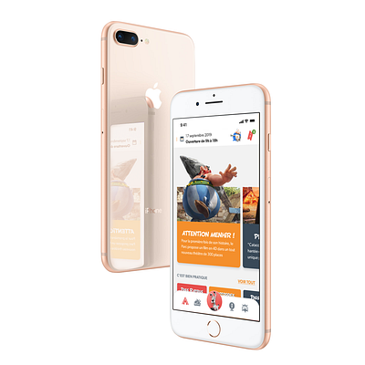 Parc Astérix iOS App application ios leisurepark mobile first parc ui ux design uxui