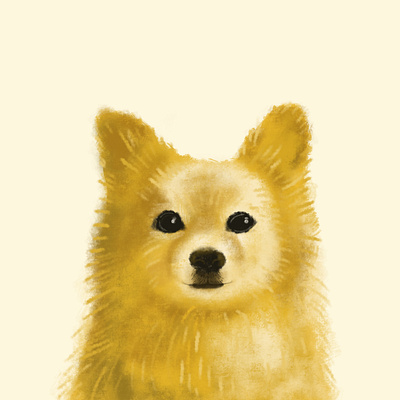 Pup Portrait - Bean dog illustration portrait procreate texture