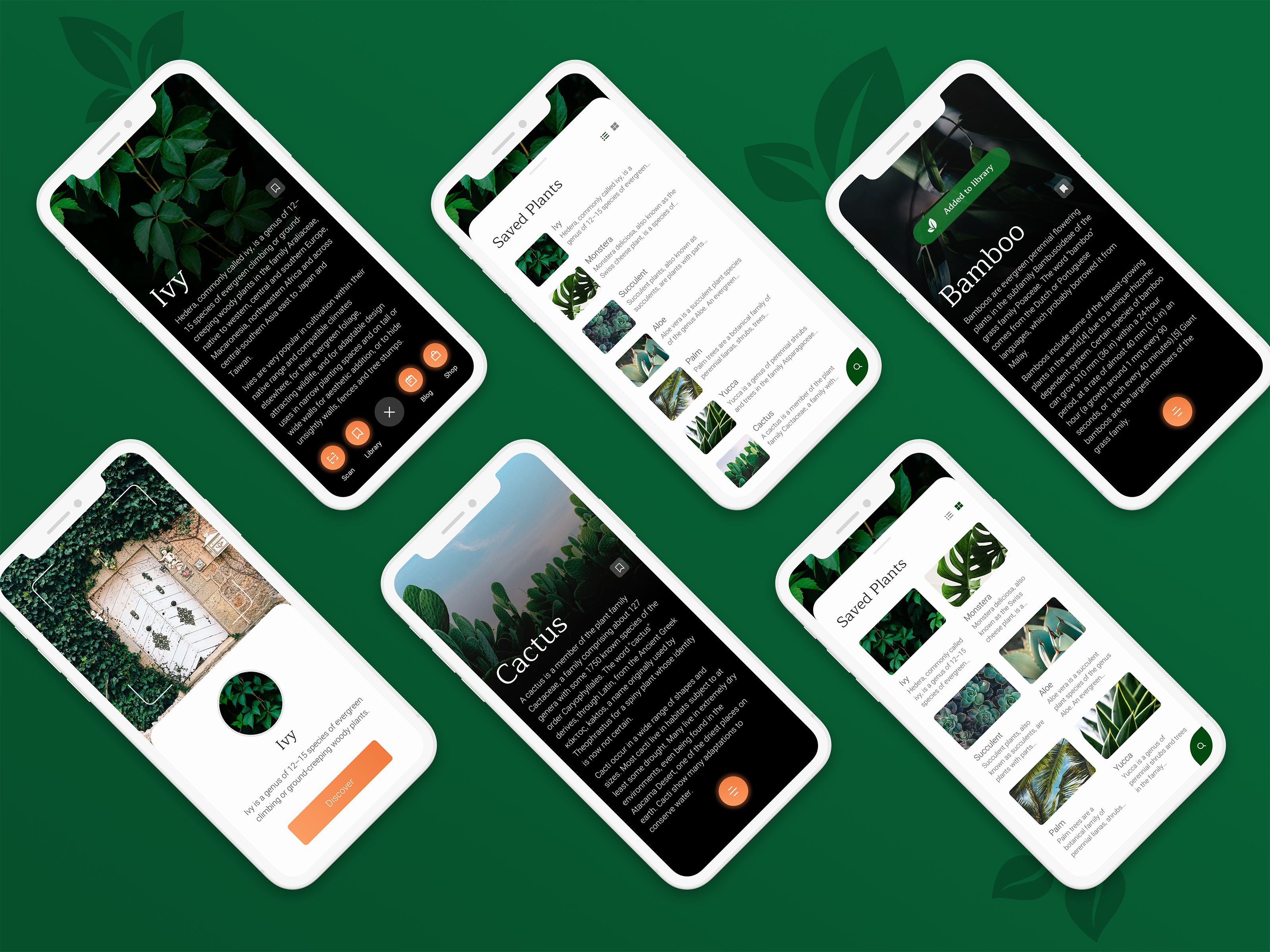 Example of Plant Identifier App