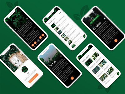 Plant Identifier App app app design interface ios ios app design minimal mobile mobile app mobile design mobile ui mobile uiux nature plants sketch ui ui design uiux ux web web app