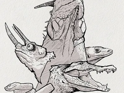 sketches: reptiles art drawing illustration lineart nature sketch sketchbook sketches