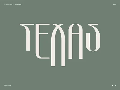 Texas brand brand and identity branding branding and identity identity illustration logotype symbol typography vintage