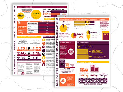 Demographic Infographic Fact Sheet charts charts and graphs colorful data flat design graphic graphs icon info infographic infographic design pie charts pie graphs