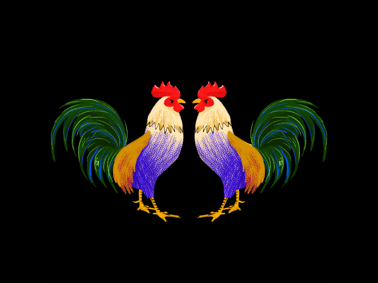 cockfight animated gif illustration