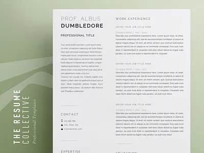 Modern 2 page Resume and Extras curriculum vitae cv minimalist resume modern cv modern resume resume clean template