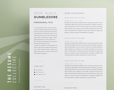 Modern 2 page Resume and Extras curriculum vitae cv minimalist resume modern cv modern resume resume clean template