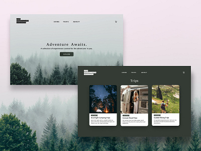 Adventure Travel Concept adventure concept design simple travel trips ui uidesign uiux uiuxdesign