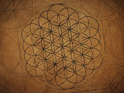 Flower of Life - Textured aftereffects animation blueprint circle circles circular da vinci flower of life geometric geometry illustration old paper overlapping pattern renaissance victorian vintage