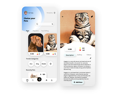 Simple Pet's Shop adobe xd behance design illustration sketching ui ui kit uidesign uiux ux vector web