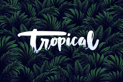 Tropical cartoon creative dark design flat gradient illustration illustrator leaf leaves lettering tropical tropical leaves typography vector vector illustration