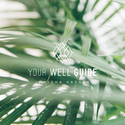 Your Well Guide adobe illustrator blogger branding logo design