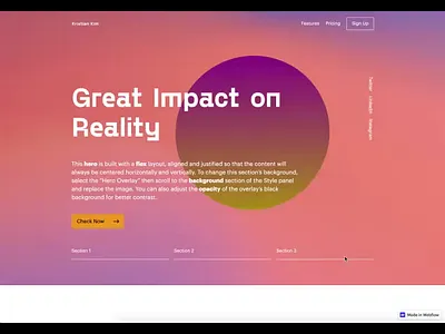 Webflow Website Project animation webdesign
