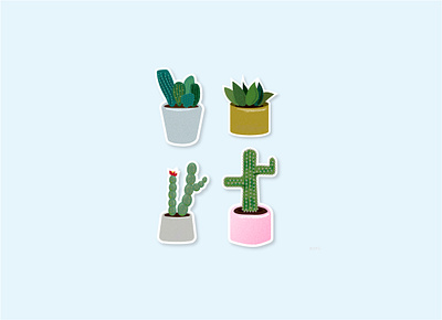 Practice of the Day cacti cactus design flat illustration stickers vector