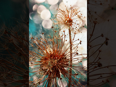 Mechanical Dandelion 3d 3d art blender3d concept dandelion illustration mechanical nature