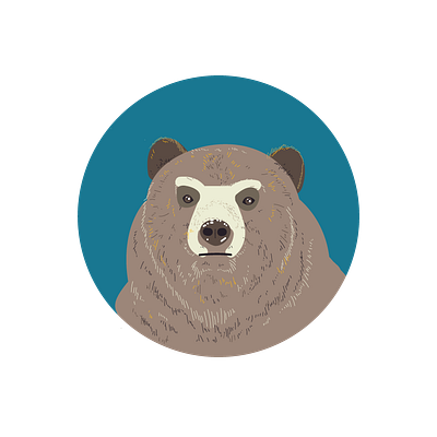 Vector Bear. illustration portrait vector vector art