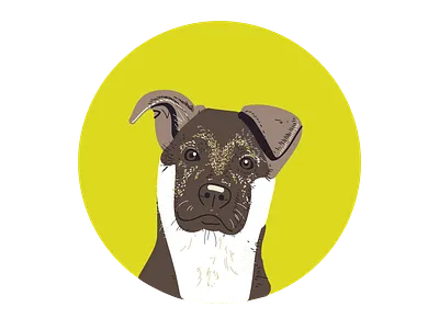 Vector Dog. illustration portrait vector vector art