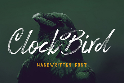 Clock Bird Font brush font script