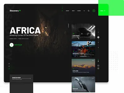 DiscoveryPlus Website Concept clean concept design design discovery ui webapp design website concept