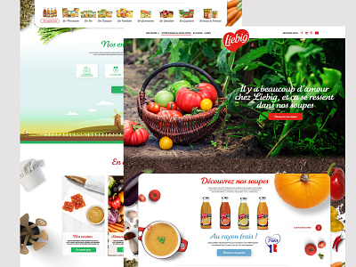 Liebig Soup eat food landing page sketch soup uidesign