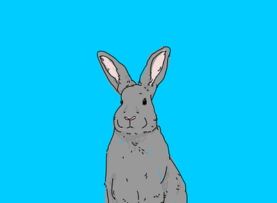 Abu animal animal illustration art artwork graphicdesign illustration illustrator rabbit vector