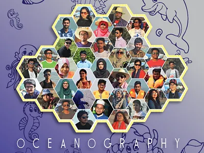 Hexagon Grid Image hexagon image grid zahid hasan shahed