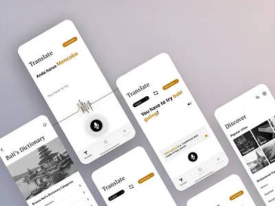 Transit, Translation for Travelers app design ui ux