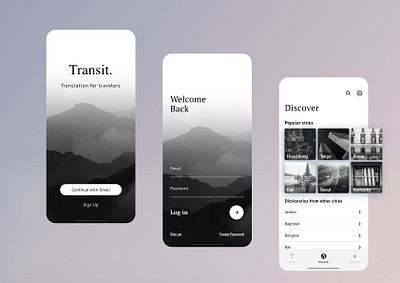 Transit, Translation for Travelers. app design ui ux