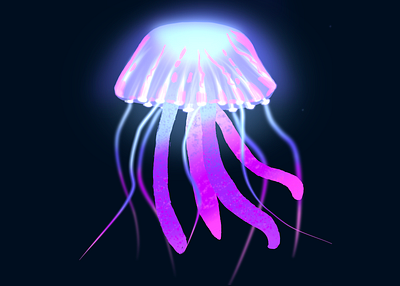 Jellyfish