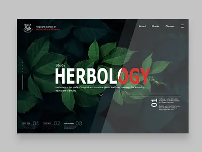 Study Herbology adobexd app brand and identity design harrypotter herbology hogwarts minimal typography ui vector web website wizarding world