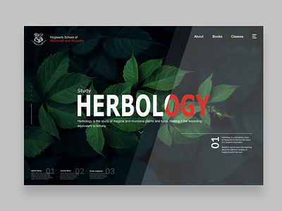 Study Herbology adobexd app brand and identity design harrypotter herbology hogwarts minimal typography ui vector web website wizarding world