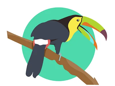 Toucan bird. Flat vector illustration. Tropical animal. animals art avatar branch character colorful cute design face illustration lifestyle logo toucan tree tropical wildlife