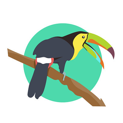 Toucan bird. Flat vector illustration. Tropical animal. animals art avatar branch character colorful cute design face illustration lifestyle logo toucan tree tropical wildlife