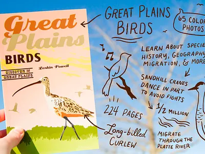Great Plains Birds promo doodle advertising art drawing illustration procreate procreate art