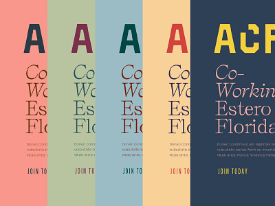 Acres of Color brand development brand identity branding color focus lab palette