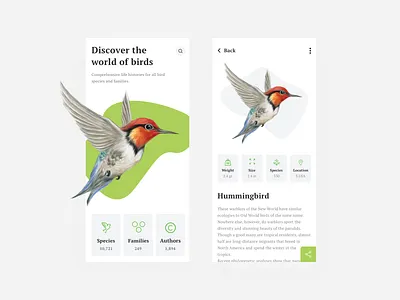 World of birds app design birds clean design dribbble mobile app ui user experience user interface ux