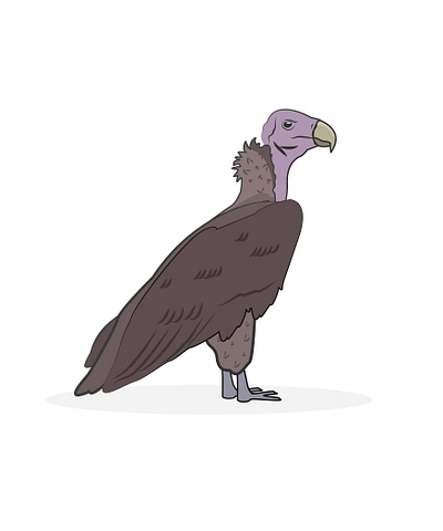 Vulture ai animal bird illustration illustrator vector vulture zoo