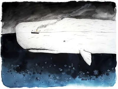 White whale illustration illustrator watercolor watercolour watercolour illustration