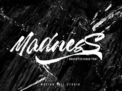 Madness - Textured Brush Font animation app branding design illustration lettering type typography vector website