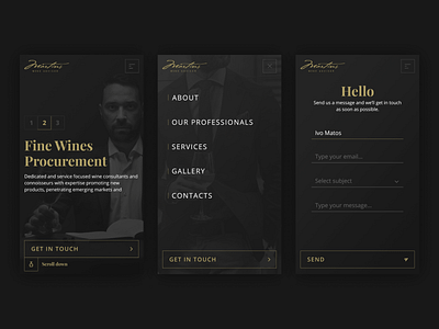 Martins Wine Advisor - Mobile branding clean design landing logo luxury mobile ui ux web website wine wines