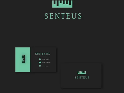 Logo And Bussiness Card